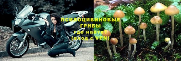 синтетический гашиш Богданович